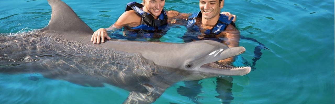 Xel ha delfines Xel ha delfines
