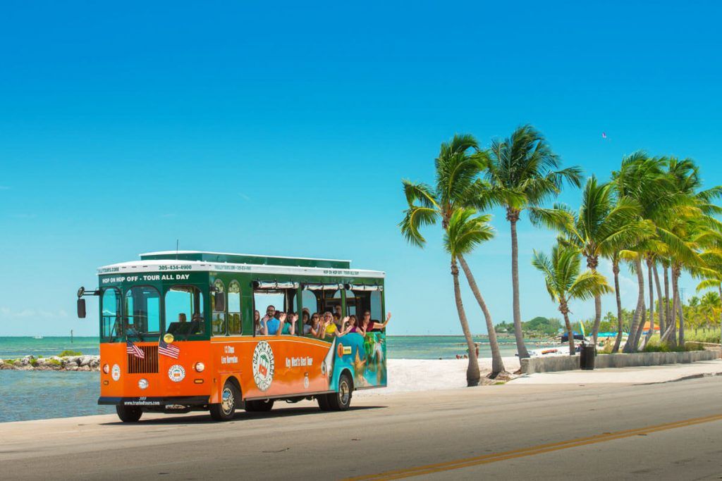Inicio » Lugares cerca de la Riviera Maya que podéis visitar en vuestro viaje

Índice de contenido [ocultar]

Lugares turísticos cerca de la Riviera Maya
Isla Cozumel
Laguna de Bacalar
Mahahual 
Medios de transporte que podéis utilizar
Camión o renta de automóvil
Tours con transporte incluido 
Recomendaciones para visitar lugares fuera de la Riviera Maya
Conclusiones
La Riviera Maya es uno de los lugares llenos de magia y paisajes únicos dentro de la República Mexicana. Como sabéis, existen muchos sitios turísticos que tenéis que conocer en vuestro viaje, pero aquí os dejamos otra de los lugares cerca de la Riviera Maya que podéis visitar en vuestro viaje. 

Si eres de las personas que os gustan los paisajes naturales, las playas tranquilas y explorar fuera de los lugares más visitados dentro de la Riviera Maya, estos lugares son los indicados para ti. 

Lugares turísticos cerca de la Riviera Maya
Isla Cozumel
Esta isla es considerada el paraíso del Caribe en los límites de la Riviera Maya. Cuenta con un hermoso arrecife que rodea la isla, en donde podéis encontrar miles de especies marinas que podéis apreciar realizando actividades como snorkel y buceo, rodeado de naturaleza inigualable. 

Esta isla tiene una gran variedad de playas tranquilas con amaneceres y atardeceres relajantes que seguro te encantará conocer.



Laguna de Bacalar
Bacalar es otro de los lugares cerca de la Riviera Maya que podéis visitar en vuestro viaje, también llamado como la laguna de los 7 colores, esto por sus inigualables tonalidades de azul de sus aguas dependiendo de la profundidad con la que cuentan y los rayos de sol que las iluminan. 

Será necesario tomar un recorrido en lancha para poder apreciar la laguna completa, en donde además, podéis ver un barco pirata en medio de la laguna y parar para realizar una exfoliación facial con la arena blanca que hay en ese lugar. Además, existen varios cenotes donde podéis nadar un poco y pasar un día relajante. 



Mahahual 
Mahahual también es conocida como una playa paradisíaca. Se encuentra a sólo una hora y media de Bacalar, siendo una playa ideal para relajarse y descansar rodeado de un inigualable paisaje y tranquilidad del lugar. 

Con hermosas aguas azul turquesa, arena fina y brisa para disfrutar. Es un lugar poco visitado, pero con mucho por ofrecer y lugares hermosos para unas fotos imperdibles.



Medios de transporte que podéis utilizar
Camión o renta de automóvil
Existen varias líneas de autobuses con diferentes destinos que pueden llevarte a los lugares que queréis visitar dentro y fuera de la Riviera Maya. Recuerda que debéis acoplaros a los horarios establecidos por cada línea. 

Por otro lado, existe la opción de una renta de coche para poder transportaros a los lugares cerca de la Riviera Maya que podéis visitar. Esta puede ser una opción muy cómoda, sólo debéis aseguraros de que el coche permanezca seguro en cada lugar al que vayas y contar con buena señal GPS para evitar manejar horas demás. 

Tours con transporte incluido