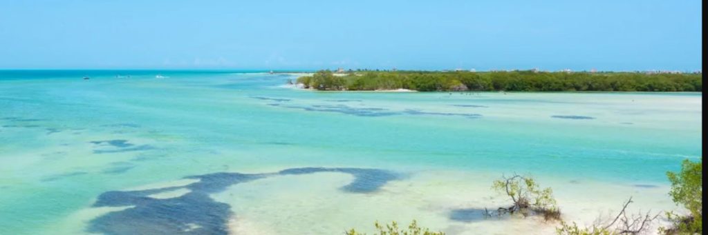 Punta Mosquito