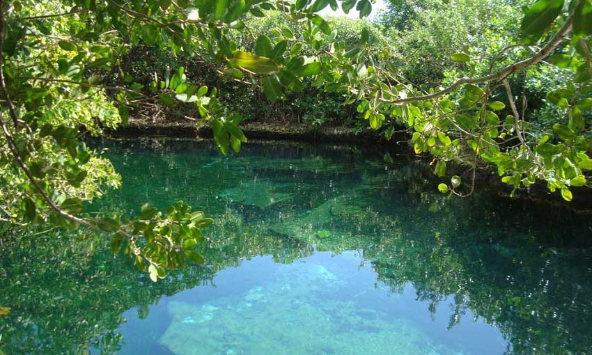 Cenote Xcacelito