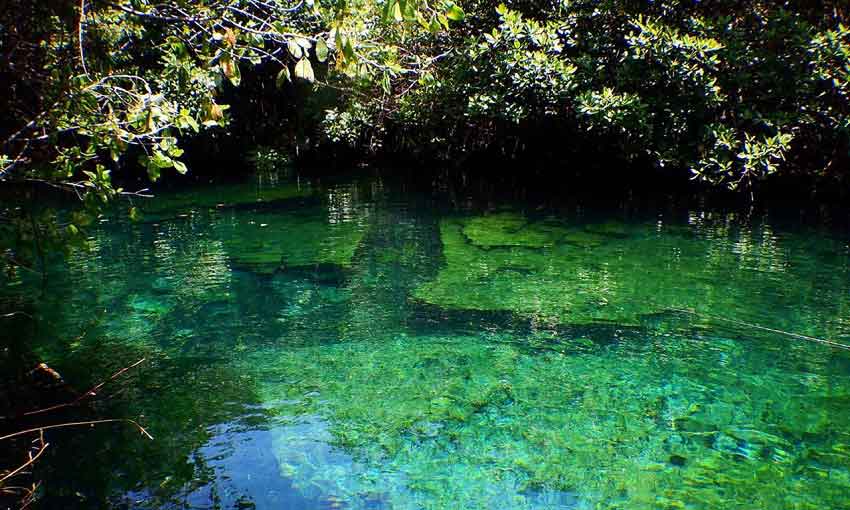 Cenote Xcacelito