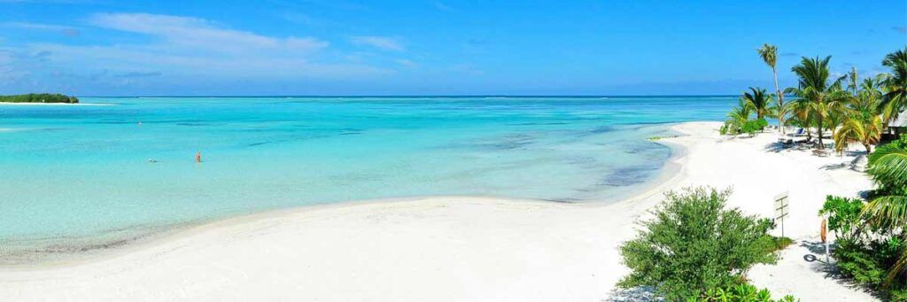 punta allen